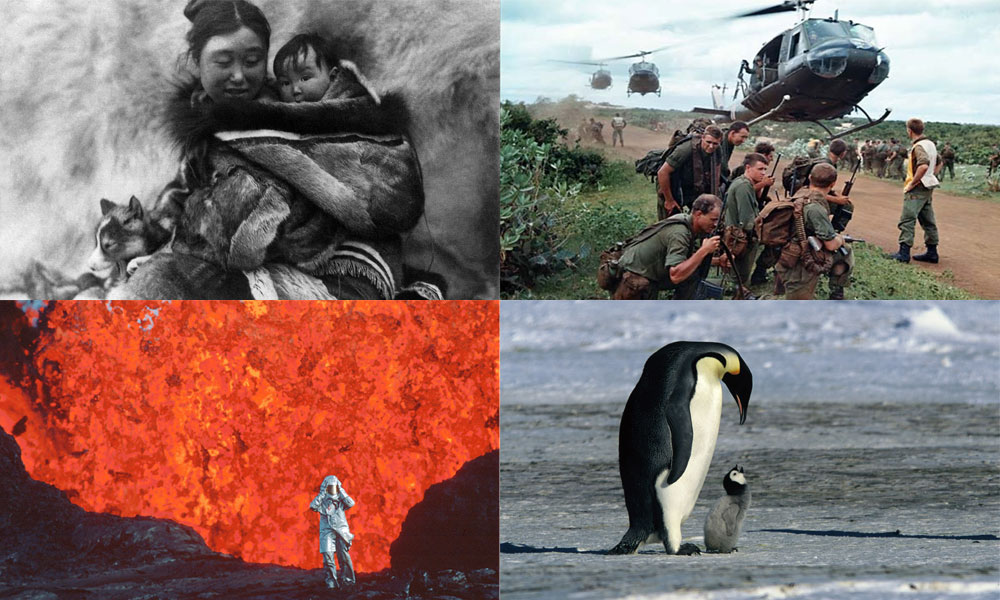Collage of documentaries including Nanook of the North, Hearts and Minds, March of the Penguins and Fire of Love